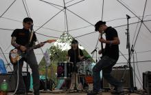 THE SWAMPS!