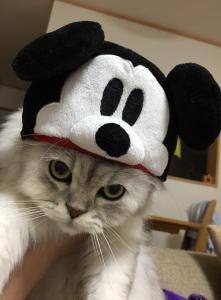 まつたく