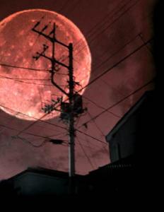 霜月