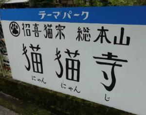 猫猫寺