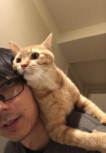 かさぼう