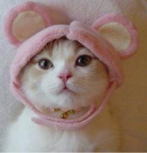 monami