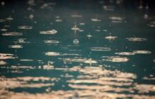 AA