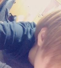 葵
