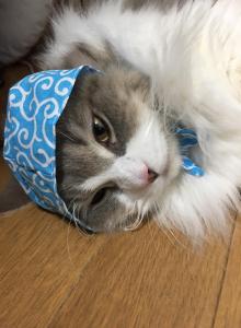 ゆっきー3