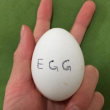 egg