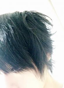 shin