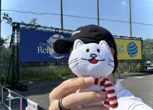 ryo28