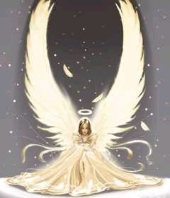 AngelRaiｎ