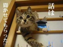 トシ