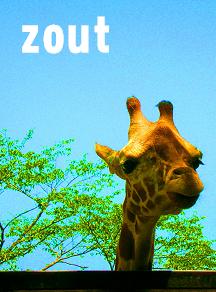 zout渡辺