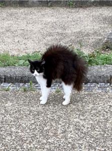 そーーーさん
