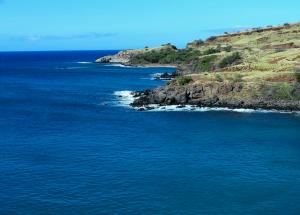 午後3時はおやつの時間