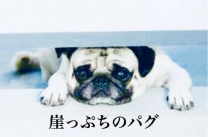 s.jun