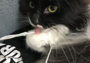 てらだんだんだだん