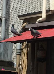はんだ