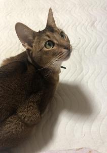 すみすみ