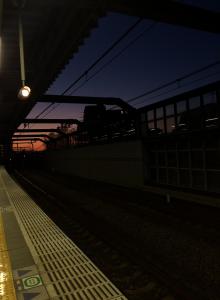 見えぬ希望に縋る。