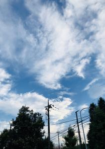 SKY BLUE