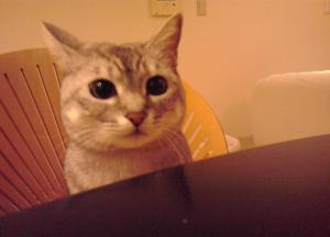 ZOEY