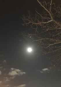 夜凪