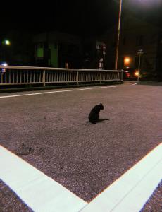 泡盛られ