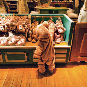 ｶｽﾞﾊ