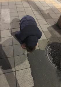 ウィストン