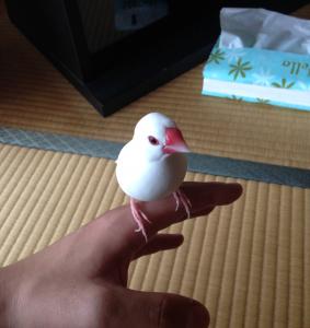 まー