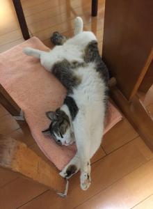 雄一朗