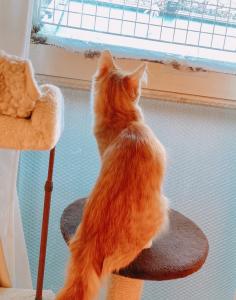 さき00