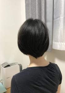 Satomi Ayukawa