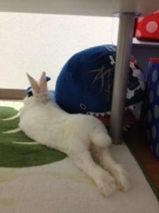 バース(仮)