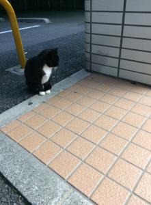 プルプル
