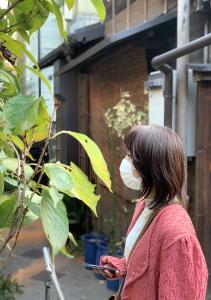 めんるい