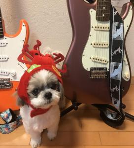 ひかり。
