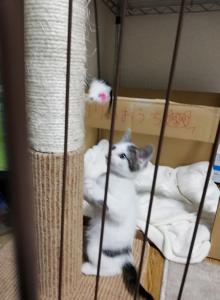 俺たちの太