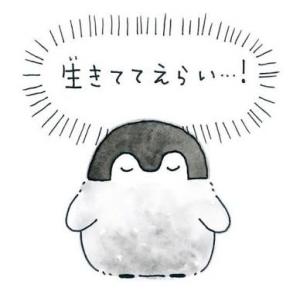 けすんけ