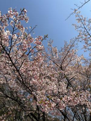 かすみ