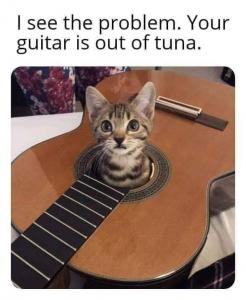 HobbyDrummer 