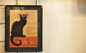 ガレージキャット