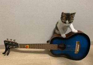 ふくやま