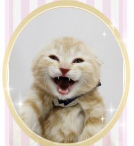 たっくん2020