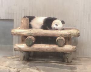 キリヲ