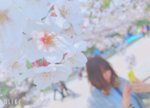 paru02