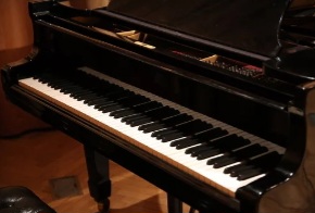 みたらしだんご