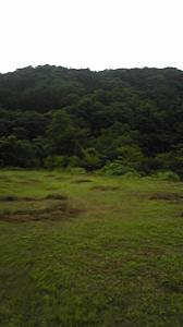 ガリガリ君