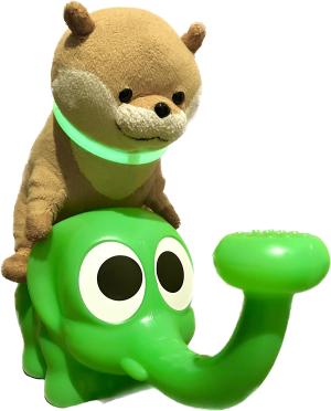 カワウソ