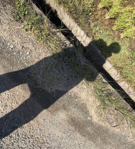 てって!