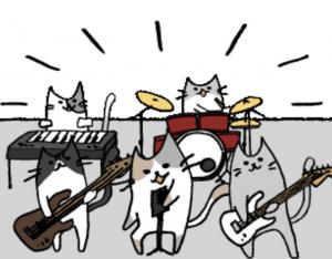 イルカエラー